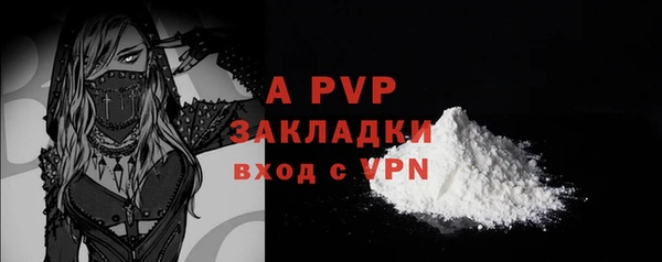 PSILOCYBIN Белоозёрский