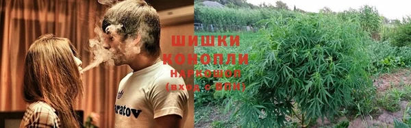 прущие крисы Белокуриха