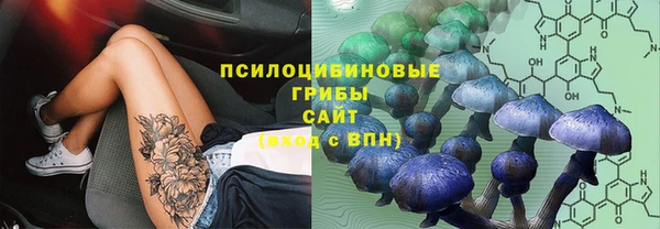 прущие крисы Белокуриха